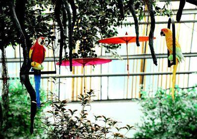 賈洲生態園 百科