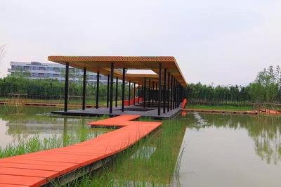 今天蘭溪揚(yáng)子江生態(tài)公園正式開園_項(xiàng)目