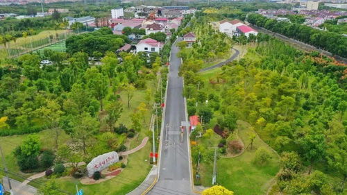 攜寵出游,隨心遛娃,在寶山這座純凈的鄉(xiāng)野生態(tài)園盡情歡樂