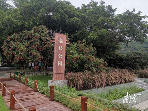 汕尾市城區(qū)這兩條示范帶, 帶 出多個美麗鄉(xiāng)村