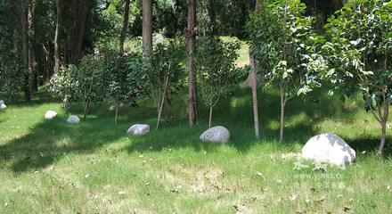 小舟垟門前山:從墳山到生態公園的蝶變故事