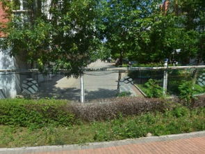 生態(tài)園八區(qū) 城市綠肺中的生態(tài)奇跡