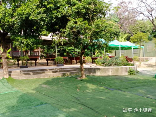 東莞萬荔生態(tài)園 企業(yè)團(tuán)建年會與休閑游玩的理想去處