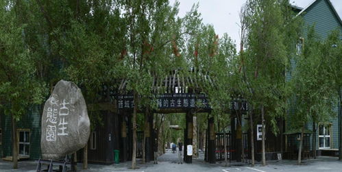 新疆古生態(tài)園 穿越時空的自然奇觀與生態(tài)寶庫